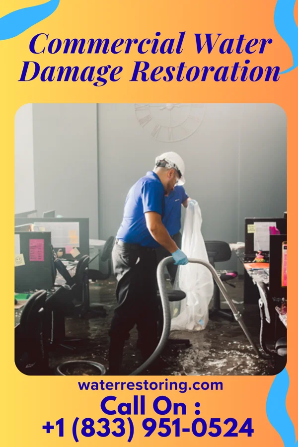 Commercial Water Damage Restoration in Hornersville, MO